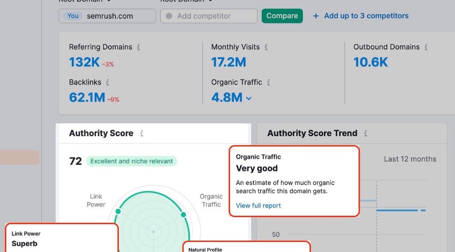 Checking Backlink Profile and Authority Score