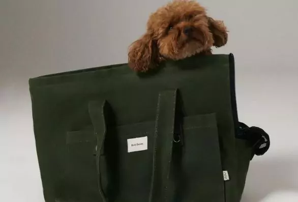 Handmade Dog travel bag