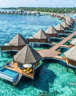 2 - 2025-10-01T201425.243