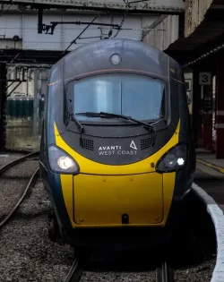 50789642346_216a5391ba_c