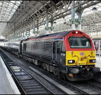 52659939202_f08ef2e8df_b