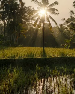 5ltcqao6sb6chjhubre5s