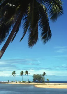 add-a-subheading-1-68dd3918c1a6a