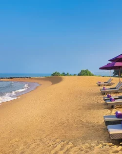 bd56218o59kod04zcn3d