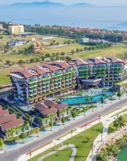 image_1759329096121 (1)