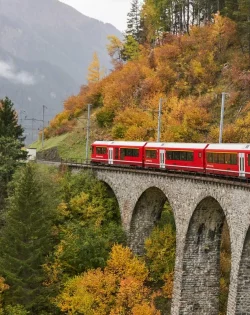 k1BZbb3lTV6rN5tRj38o