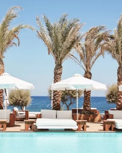 ntayp3f8ikdwowkhqyubj