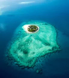 untitled-design-2025-10-01t195105415-68dd3919eded7