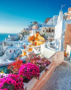 yi3s2dfl53vcna9uhc2b